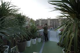 Assisting with all activities of daily living, including meal. So Il And Mini Create An Air Filtering House That Contributes To Improving Urban Life
