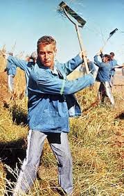 Cool Hand Luke » BAMF Style