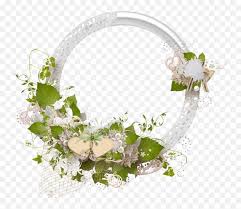 We did not find results for: Download Wedding Frame Png Cluster Cadre Fleur Mariage Png Bunga Png Free Transparent Png Images Pngaaa Com