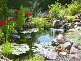 Water garden supply store featuring pond kits, pumps, filters, fish treatments, koi and pond fish water garden supplies including kits, pondless waterfalls, pumps, filters and treatments. Sunlandwatergardens Com Pond Supplies Pond Plants Pond Fish Aquatic Plants