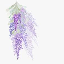 Watercolor Flowers Lavender Design Painting Watercolor Clipart Purple Flowers Watercolor Png Transparent Clipart Image And Psd File For Free Download Watercolor Flowers Watercolor Flower Background Vector Flowers