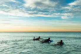 With taco bell®'s completely customizable taco menu, the options are nearly endless! Experiences That Will Last A Lifetime In Destin Fort Walton Beach Florida Atlanta Magazine