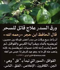 الشيخ عبد الباسط عبد الصمد المجتمع Posts Facebook
