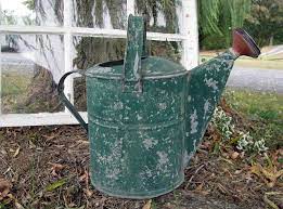 Pin On Garden