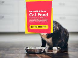 Cat Food Recommended Makanan Kucing Kesejahteraan Hewan Makanan