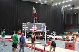 Já para a prática feminina os principais aparelhos são: Guimaraes Abre As Portas Para A Taca Do Mundo De Ginastica Artistica Camara Municipal De Guimaraes