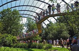 Pairi Daiza Jardin Des Mondes Passerelle Journee En Famille Belgium Wallonie Picarde Wapi Visitwapi Be Dierentuinen Voliere Planet