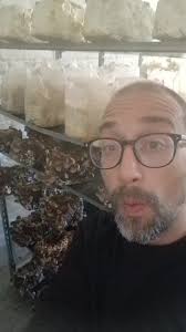 Hello Cheers from Hoeilaert in belgium Shitake, shimeji, eryngii and lions  mane Have a good day