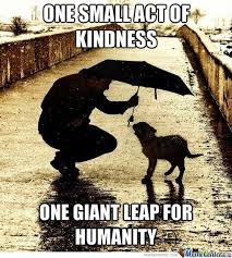Acts Of Kindness Animals Animal Quotes Animal Lover