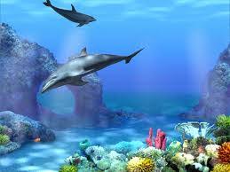 Trivia 16 questions | by baban | last updated: Dolphin True Or False Quiz