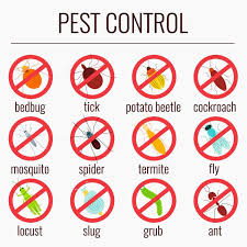 58 pest control technician jobs available in orlando, fl on indeed.com. 4 Tips Choose The Best Pest Control Companies In Orlando