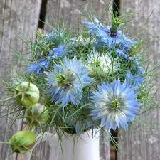 Love In A Mist Seeds Blue Flowers Bouquet Wedding Flowers Summer Summer Flowers