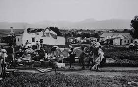 Tulbagh Earthquake Damage Google Search African History South Africa Earthquake Damage