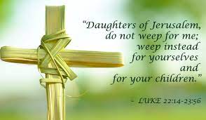Jump to navigation jump to search. Your Palm Sunday Catholic Reflection From Cmmb Cmmb Blog