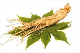 It has been used in north america and asia for thousands of years. What Is Ginseng