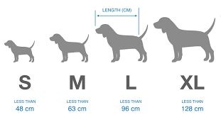 We did not find results for: 9 Best Orthopedic Dog Bed Options Australia 2021 Buyers Guide Gentledogtrainers Com Au