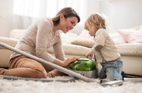Northeast indiana's top carpet cleaners. Diy Or Professional Carpet Cleaning Steam Cleaning Edmonton