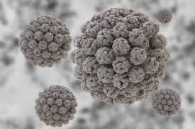 Maybe you would like to learn more about one of these? Non Glp Cell Line Research Biologics Screening Charles River