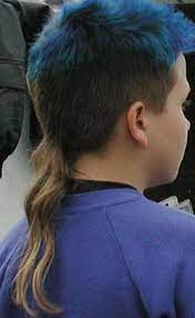 Incoherant Ramblings Bad Hair Tail Hairstyle Bad Hair Style Mistakes