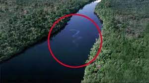 Du monde le serpent a été tué ou lui qui à la fin de chaque kalpa cycle cosmique de 4 320 000 000 d'années. Le Plus Grand Anaconda Du Monde N Est Pas En Amazonie