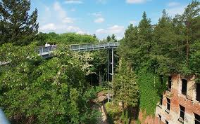 Tour agency in beelitz heilstätten, brandenburg, germany. Treetop Walk Baum Zeit Baumkronenpfad Flaming Beelitz Heilstatten