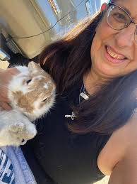 Found a friendly pet bunny