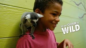 Michelle Kostich's Instagram, Twitter & Facebook