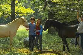 Atila, hanna binke, amber bongard genres summer vacation. Ostwind 2 Interview Mit Kenzie Dsyli Pferde De Pferde De Magazin