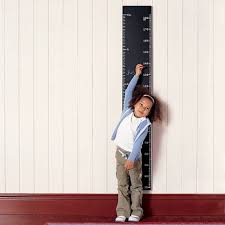 swissmiss chalkboard ruler growth chart