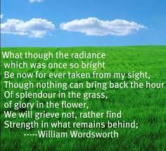 Splendor In The Grass Poem Splendour In The Grass Poetry Pinterest Grass Splendour In The Grass Inspirational Quotes Poems