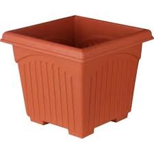 The former is a durable pot you can use year after year, while the latter is perfect for cost conscious pot ups or. 12 Inch Plastic Square Planter Brown à¤µà¤° à¤— à¤• à¤° à¤« à¤²à¤¦ à¤¨ à¤¸ à¤• à¤µ à¤¯à¤° à¤« à¤² à¤µà¤° à¤ª à¤Ÿ Minerva Naturals Unit Of Xtrails Expeditions Pvt Ltd Bengaluru Id 14932575197