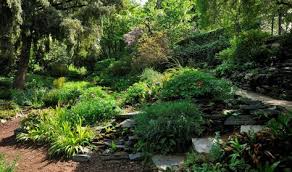 Le Jardin Alpin Le Grand Bol D Air Frais Du 5e Arrondissement Plante Jardin Jardin Des Plantes Paris Jardins