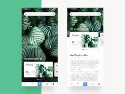 Photographing Plant Identification Plant Identification Plant Identification App Plants