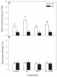 Check out his latest detailed stats including goals, assists, strengths & weaknesses and match ratings. Biomolecules Free Full Text Effects Of Jasmonic Acid In Er Stress And Unfolded Protein Response In Tomato Plants Html