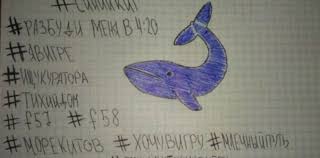 Ep out on kamaramusic.bandcamp.com kamara is: La Ballena Azul Difunden Recomendaciones Y Un 0800 Contra El Macabro Juego