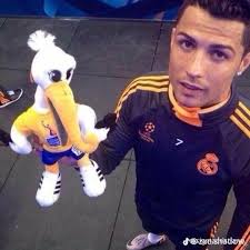 Stream Bryan Velez music