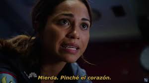 Chicago Fire: Fuego inocuo y hormonal ~ PopPol
