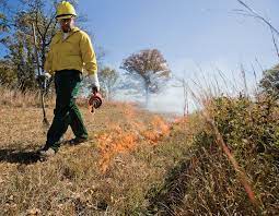 Louis exterminator services have been provided by mick's exterminating for more than 40 years. Prescribed Fire A Management Tool Missouri Department Of Conservation