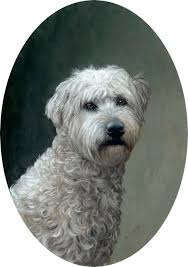 Maybe you would like to learn more about one of these? Pet Portraits Rebecca Luncan
