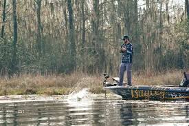 Image result for Dark Forest Green 1992 Fleet