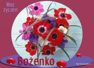 Życzenia dla bożeny z okazji imienin. Kartki Elektroniczne Dla Bozeny Kartkolandia Pl