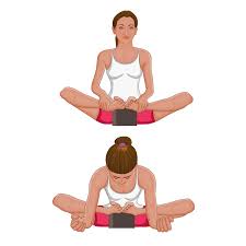 Butterfly Pose Baddha Konasana Variation With A Block Butterfly Pose Online Yoga Teacher Training Yoga Articles