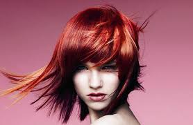 Don Stella The Salon