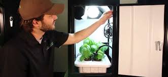 Maybe you would like to learn more about one of these? Grow Tents Vs Grow Cabinets Hydrobuilder Learning Center
