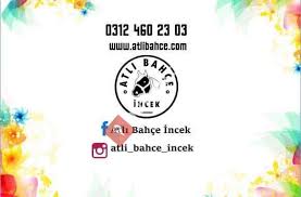 Atli Bahce Incek Incek