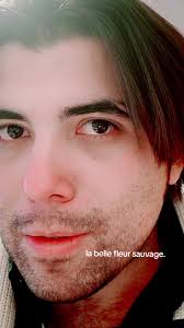 La belle fleur sauvage. #2025 #fleur #mirada #look #day #wintervibes