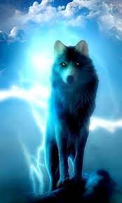 Mais en utilisant les informations sur cette page vous pouvez télécharger voilier fond d écran animé pour pc voilier fond d écran animé pour pc windows 10 8 8 1 7 xp ordinateur free. Neon Animaux Fond D Ecran Anime Fonds D Ecran Hd Pour Android Telechargez L Apk