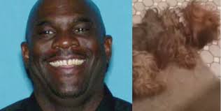 Detroit man accused of stealing, torturing ex-girlfriend's dog arrested,  charged