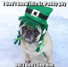 Image result for funny st patrick's day pictures