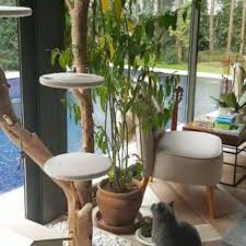 Kedi Agaci Home Facebook